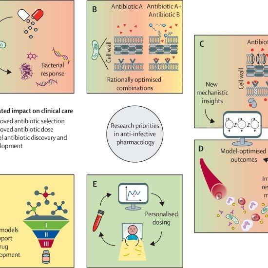 Bulman et al Research Priorities